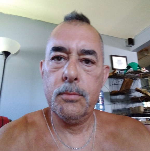 msdunphy